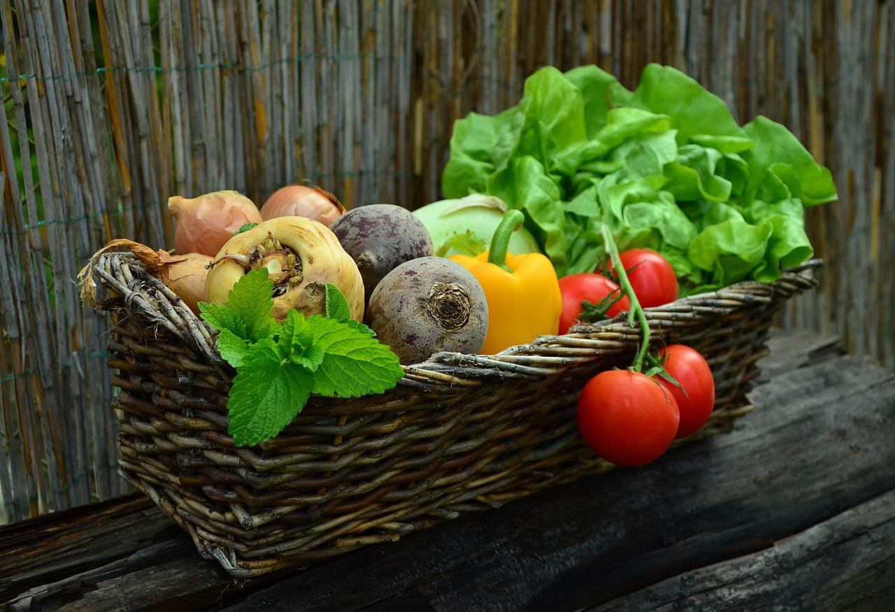 Alimentation